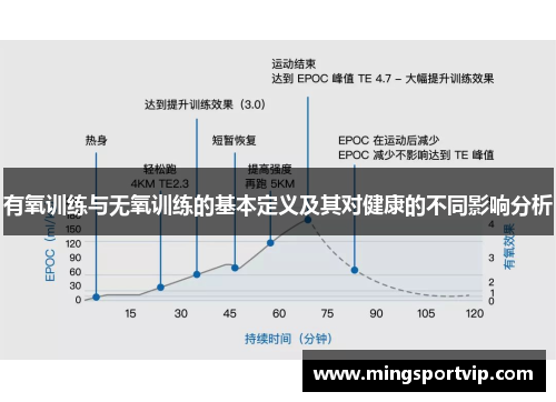 有氧训练与无氧训练的基本定义及其对健康的不同影响分析