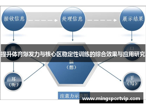 提升体育爆发力与核心区稳定性训练的综合效果与应用研究