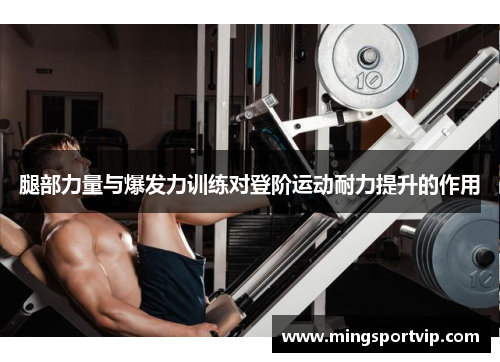 腿部力量与爆发力训练对登阶运动耐力提升的作用